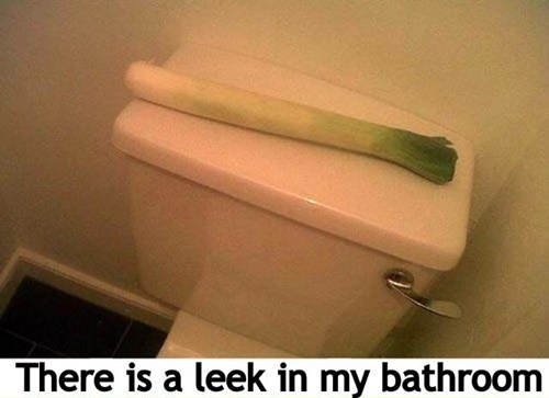 A vegetable leek sitting atop the toilet cistern with the caption 'There is a leak in my bathroom'